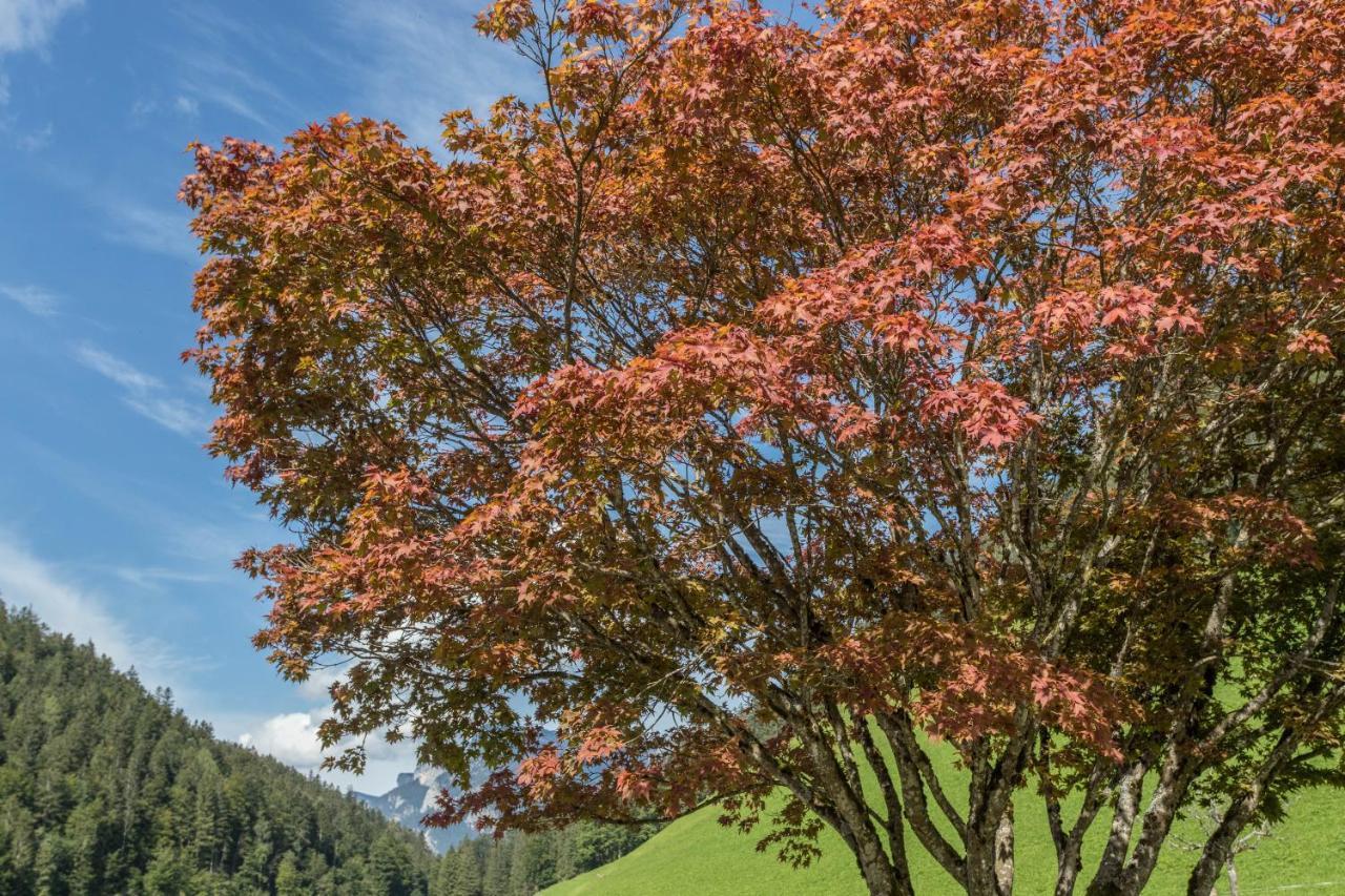 Ferienwohnung Weissbacher 洛弗附近圣马丁 外观 照片